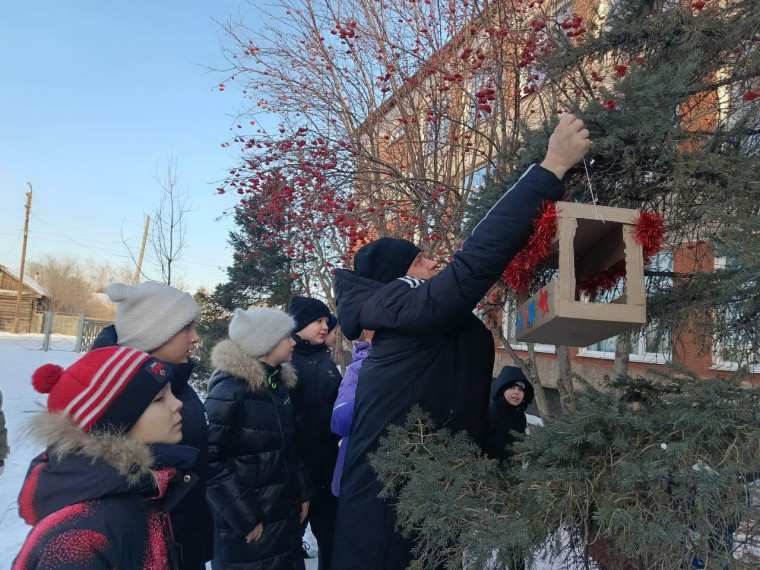 столовая для пернатых.
