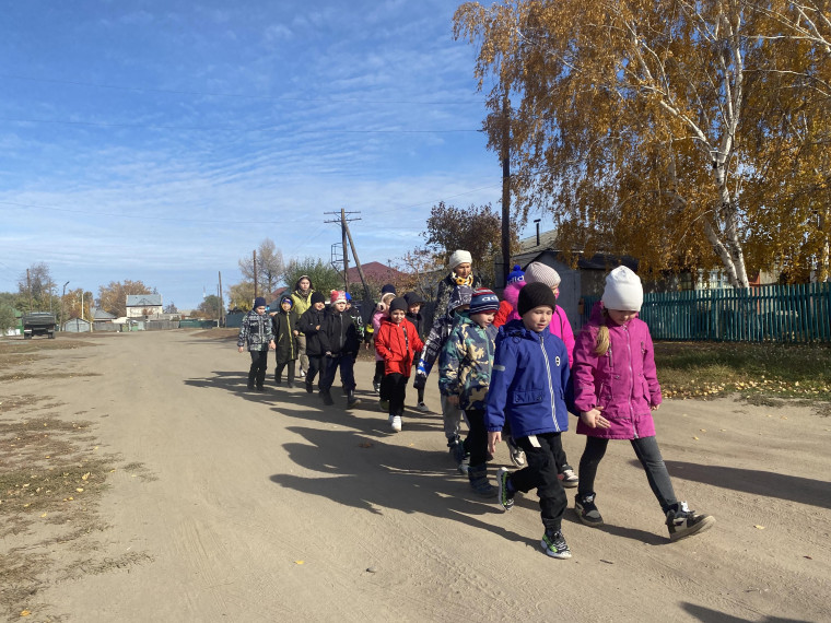 воспитание ответственного отношения к домашним питомцам..